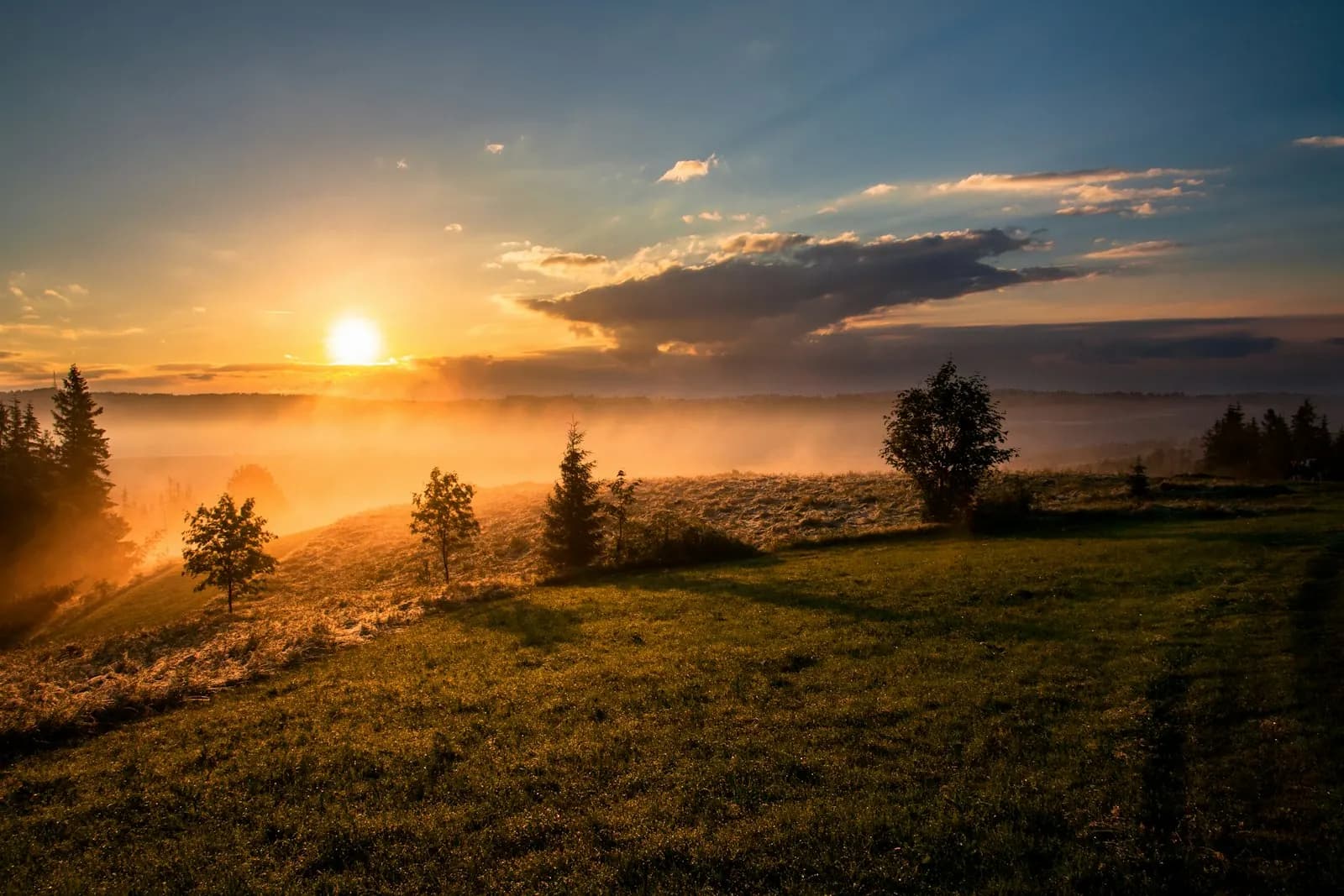 Sunrise over a misty meadow — warm light after a long night